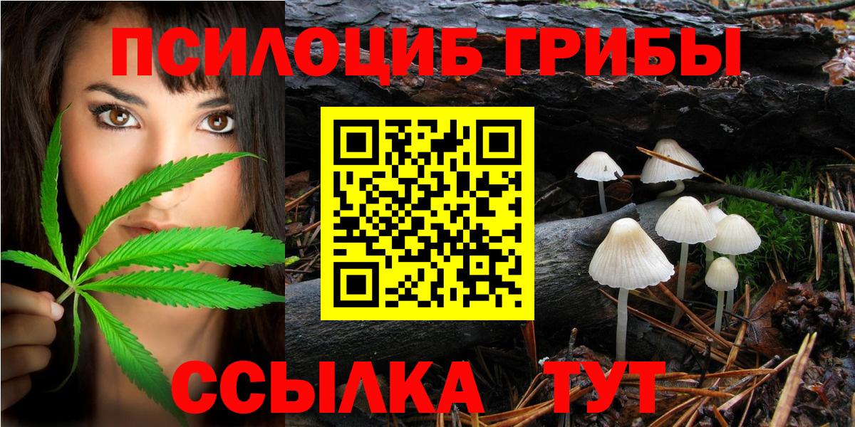 Галлюциногенные грибы Psilocybine cubensis Пермь